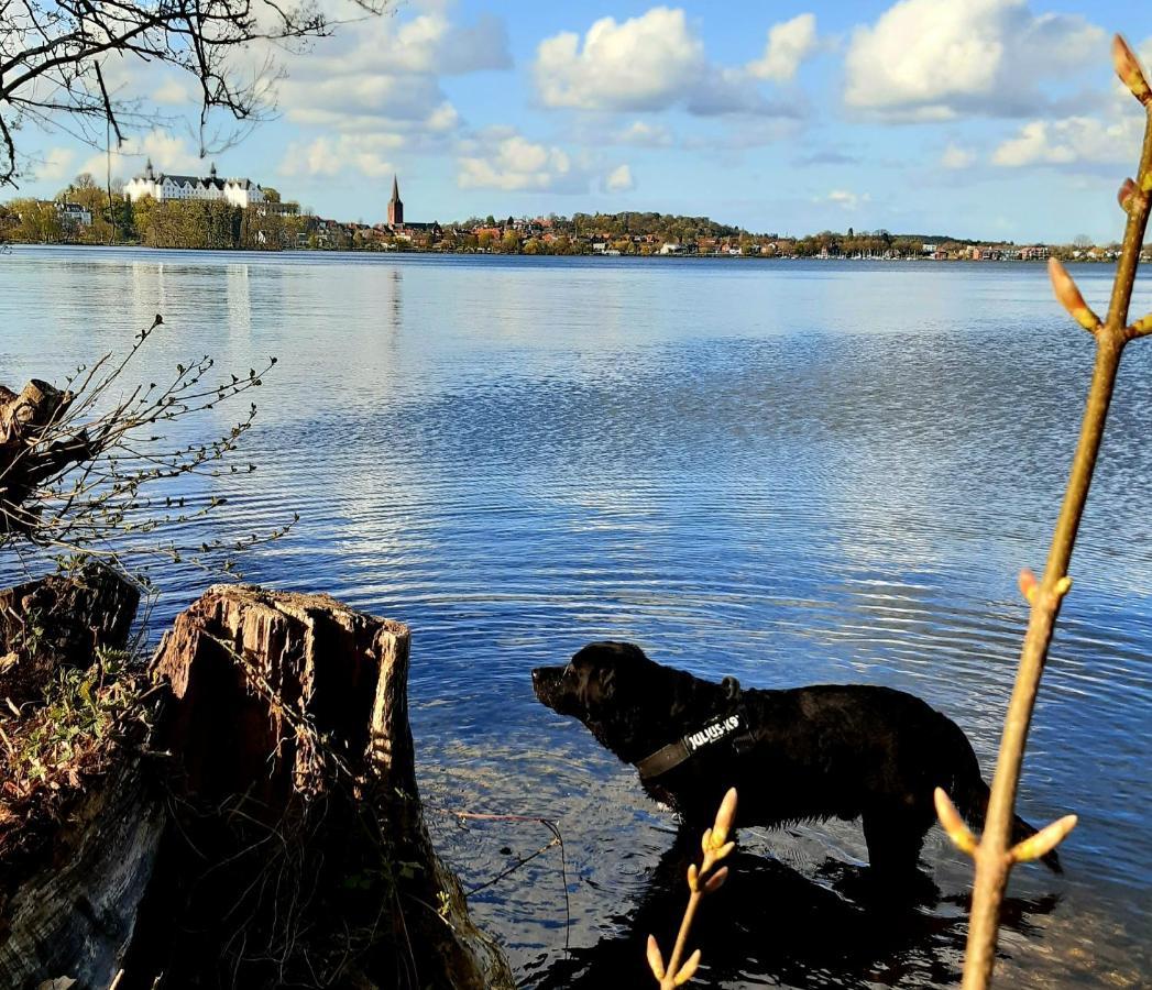Exklusive Ferienwohnung Strohberg Plön Eksteriør bilde